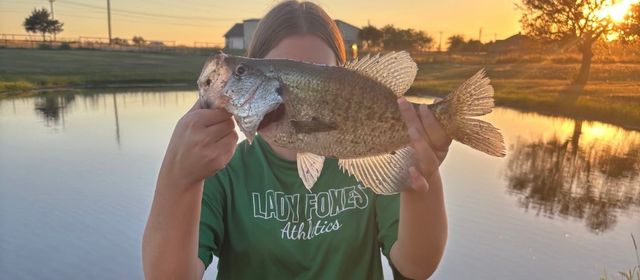 4474 Fm 6, Caddo Mills, TX 75135