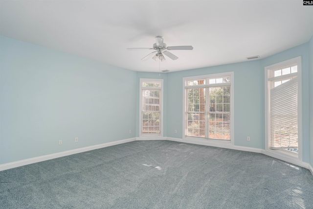 132 Magnolia Key Drive, Chapin, SC 29036