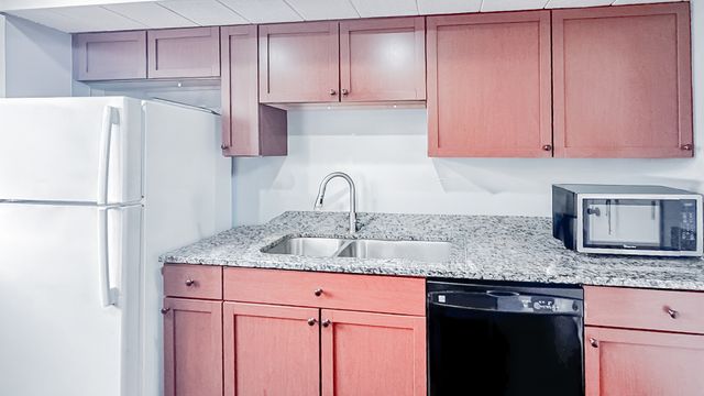 1744 Bristol Walk 1744, Hoffman Estates, IL 60169