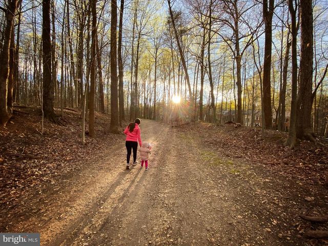 5624 KIRKHAM CT, Springfield, VA 22151