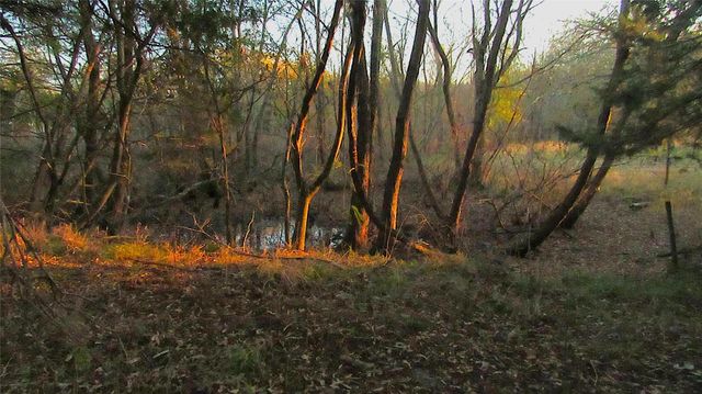 TBD County Road 4736, Cumby, TX 75433