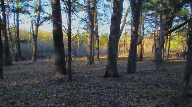 TBD County Road 4736, Cumby, TX 75433