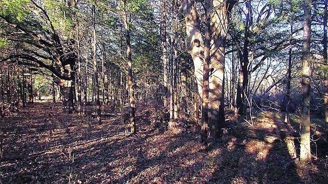 TBD County Road 4736, Cumby, TX 75433