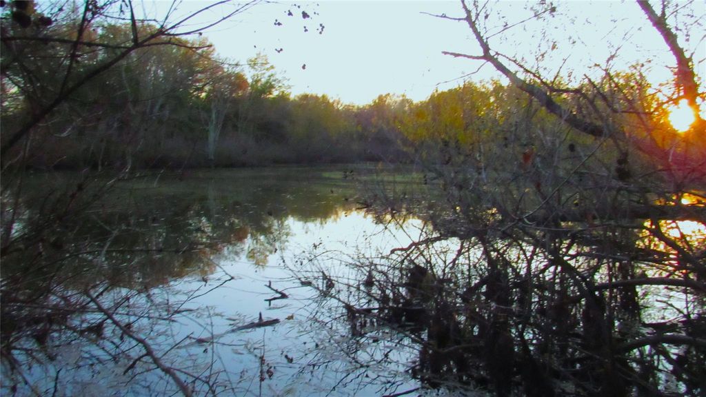 TBD County Road 4736, Cumby, TX 75433