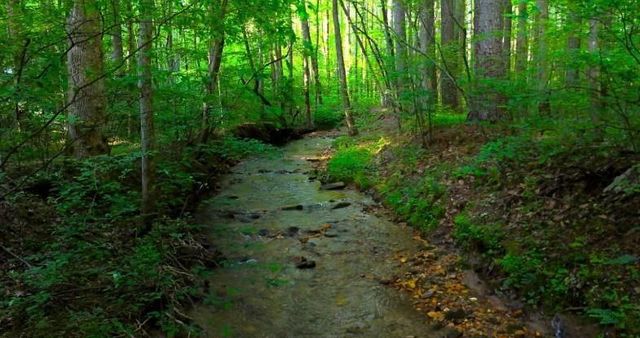 0 Nocona Trail, Ellijay, GA 30536