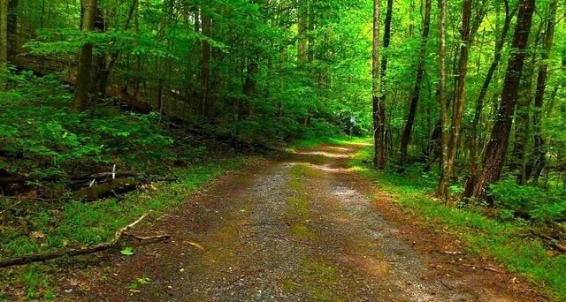 0 Nocona Trail, Ellijay, GA 30536