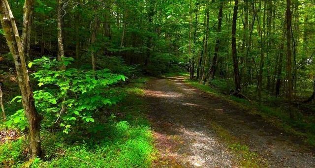 0 Nocona Trail, Ellijay, GA 30536