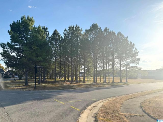 22806 RIMBRED COURT, Mccalla, AL 35111