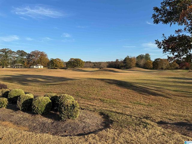 22806 RIMBRED COURT, Mccalla, AL 35111