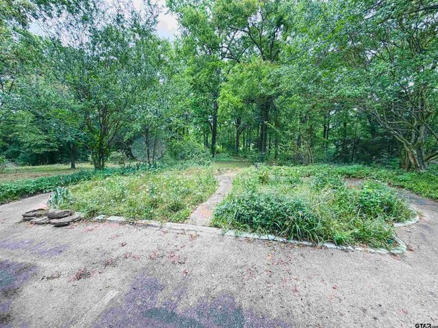 1524 FM 993, Pittsburg, TX 75686