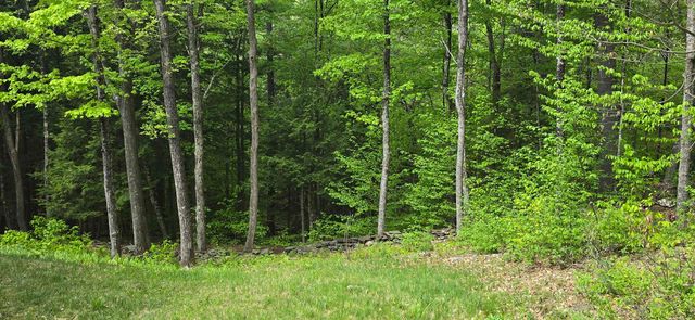 96 Hawkwood Lane, Hartford, VT 05059