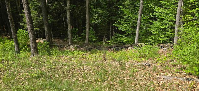 96 Hawkwood Lane, Hartford, VT 05059