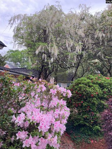 1822 Brevard Place, Camden, SC 29020