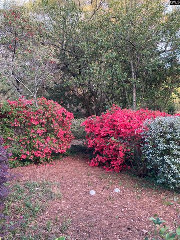 1822 Brevard Place, Camden, SC 29020