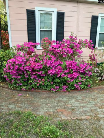 1822 Brevard Place, Camden, SC 29020