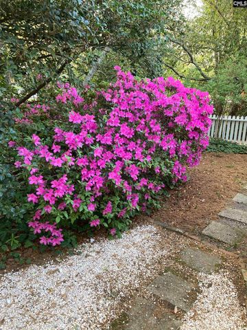 1822 Brevard Place, Camden, SC 29020