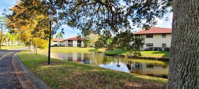 2009 HAMMOCK PINE BOULEVARD 2009, Clearwater, FL 33761