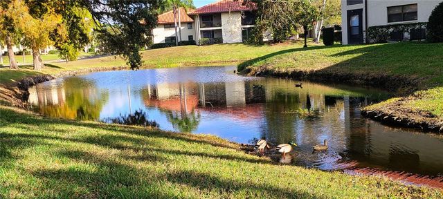 2009 HAMMOCK PINE BOULEVARD 2009, Clearwater, FL 33761