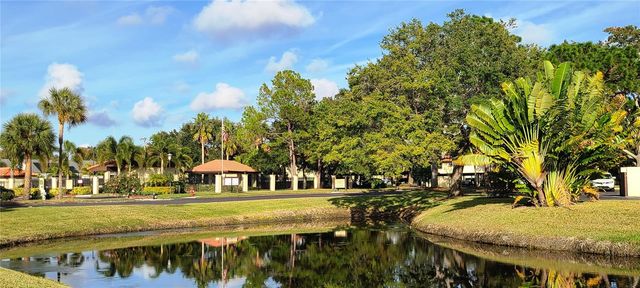 2009 HAMMOCK PINE BOULEVARD 2009, Clearwater, FL 33761