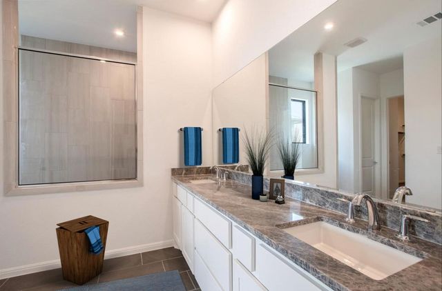 713 Mountain Aloe Drive, Fort Worth, TX 76247