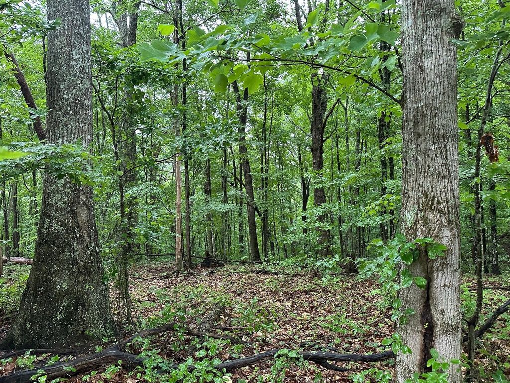 11 Mountain Top Drive, Palmer, TN 37365