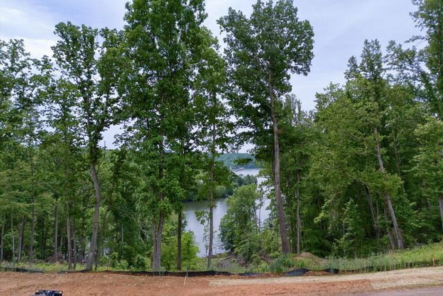 LOT 70 WASHBURN CT, Hardy, VA 24101