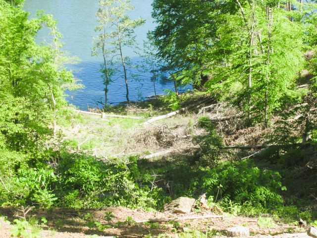 LOT 70 WASHBURN CT, Hardy, VA 24101