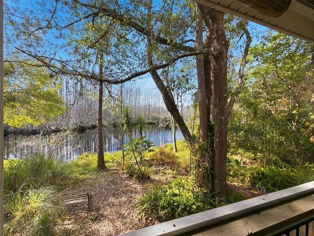 18324 JORENE ROAD, Odessa, FL 33556