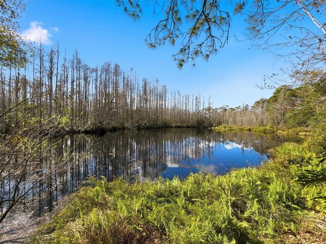 18324 JORENE ROAD, Odessa, FL 33556