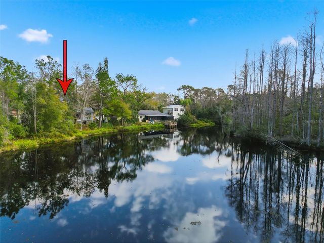 18324 JORENE ROAD, Odessa, FL 33556