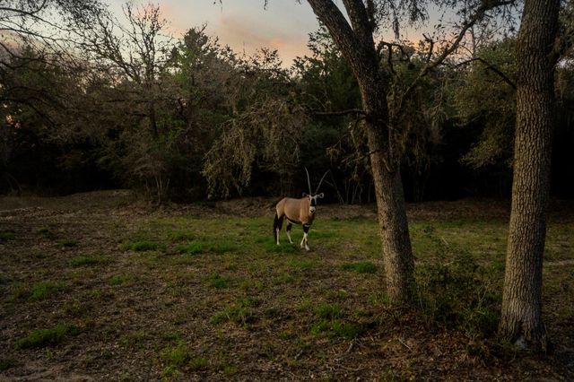 4053 County Road 158, Hallettsville, TX 77964
