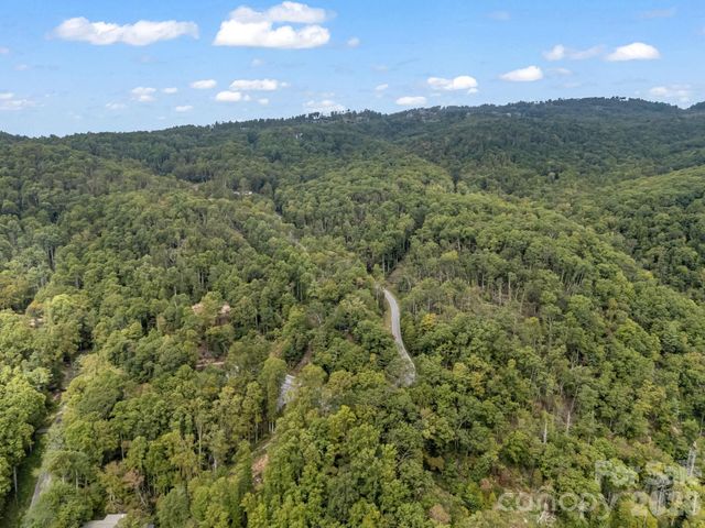 1821 Bearwallow Mountain Road, Hendersonville, NC 28792