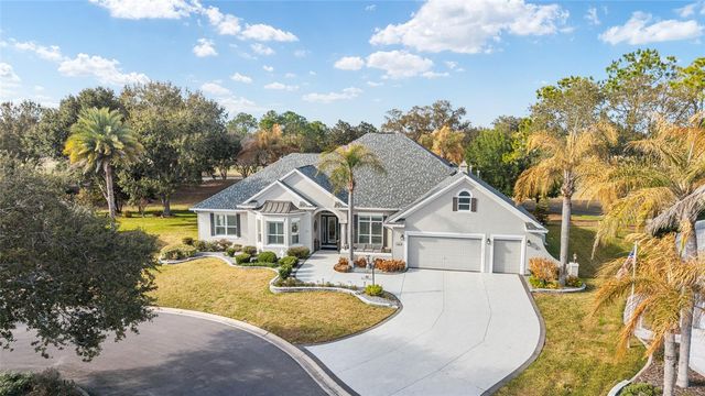 8645 SE 177TH GRASSMERE STREET, The Villages, FL 32162