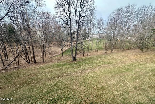 118 Bright Ridge Court, Church Hill, TN 37642