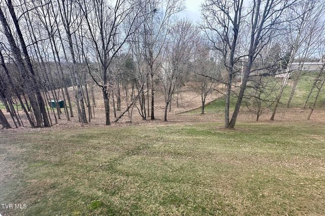 118 Bright Ridge Court, Church Hill, TN 37642