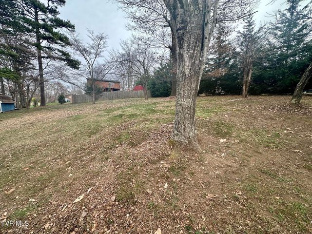 118 Bright Ridge Court, Church Hill, TN 37642