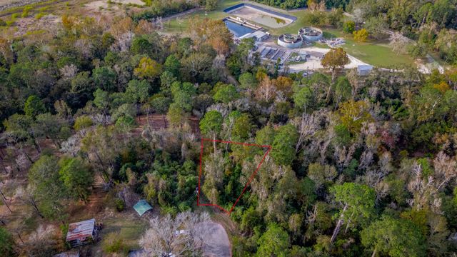 TBD LOT 53 Cardinal Drive, Livingston, TX 77351