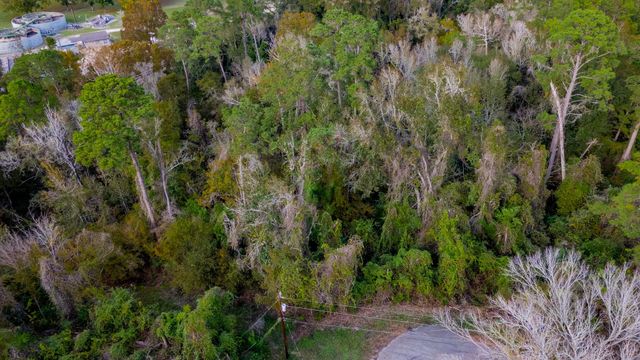 TBD LOT 53 Cardinal Drive, Livingston, TX 77351