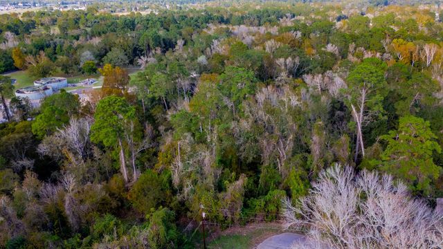 TBD LOT 53 Cardinal Drive, Livingston, TX 77351