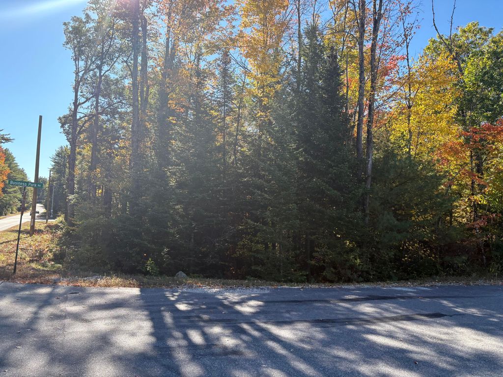 Lot# 11 Business Park Road, Limerick, ME 04048 — photo 2