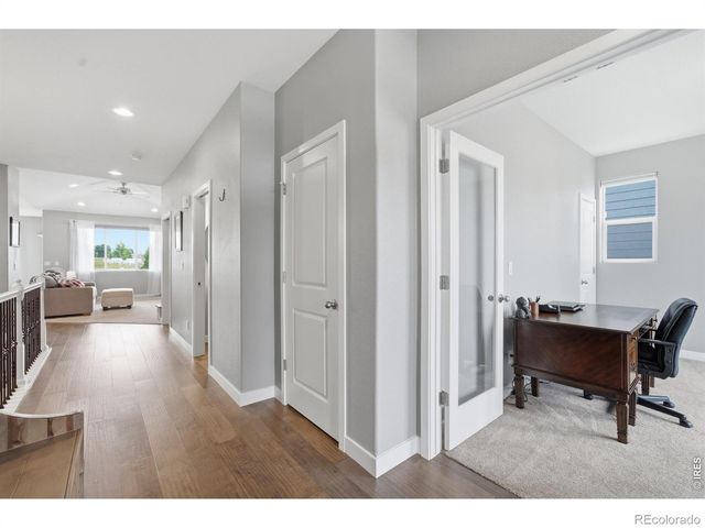 657 Boxwood Drive, Windsor, CO 80550