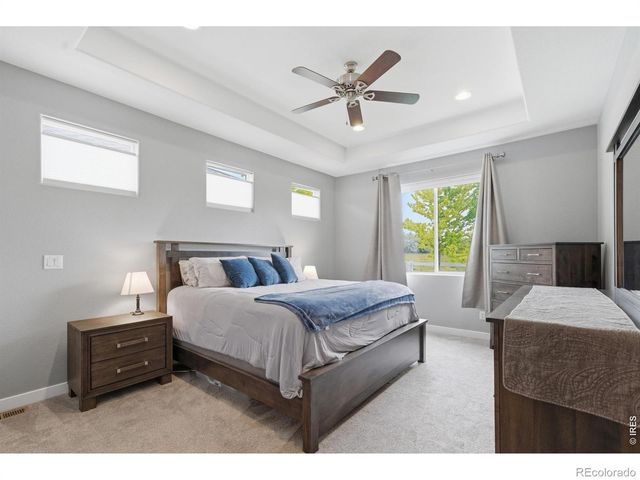 657 Boxwood Drive, Windsor, CO 80550