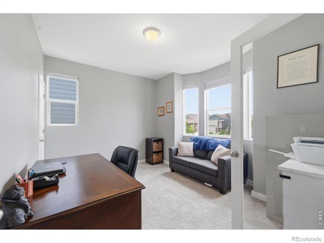 657 Boxwood Drive, Windsor, CO 80550