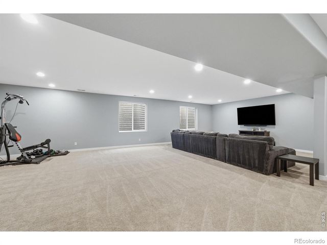657 Boxwood Drive, Windsor, CO 80550