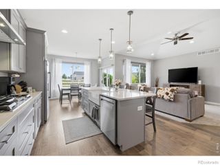 657 Boxwood Drive, Windsor, CO 80550