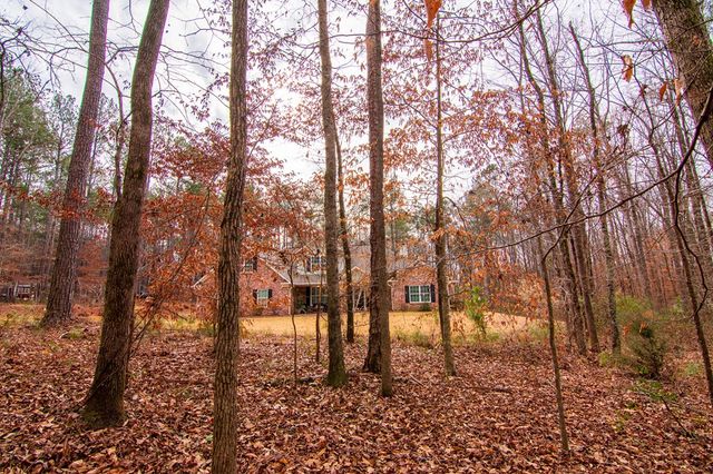 3337 Lower Blue Springs Road, Hamilton, GA 31811