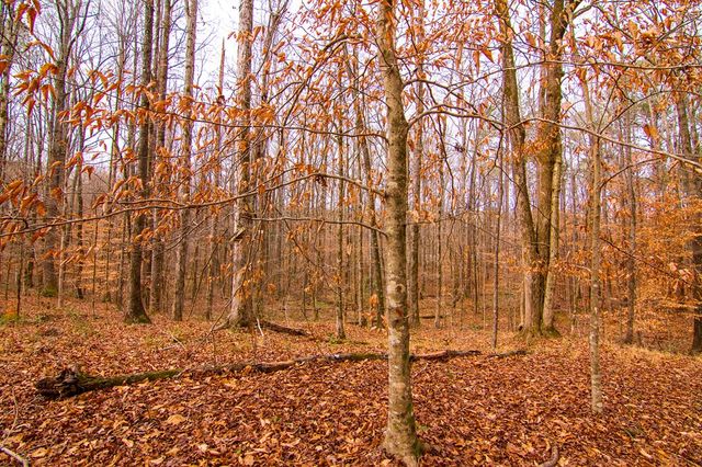 3337 Lower Blue Springs Road, Hamilton, GA 31811