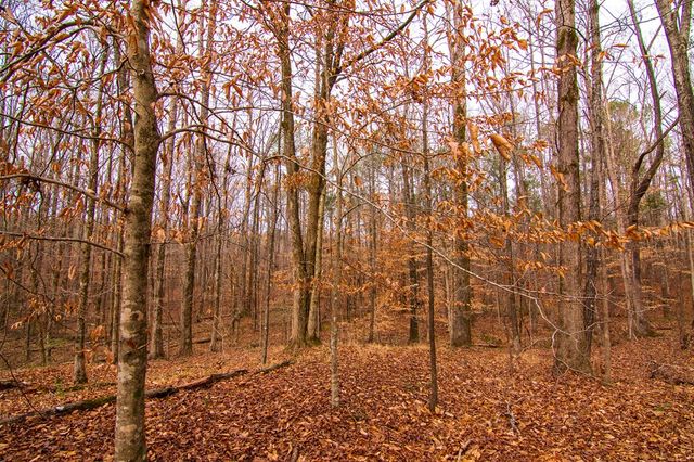 3337 Lower Blue Springs Road, Hamilton, GA 31811