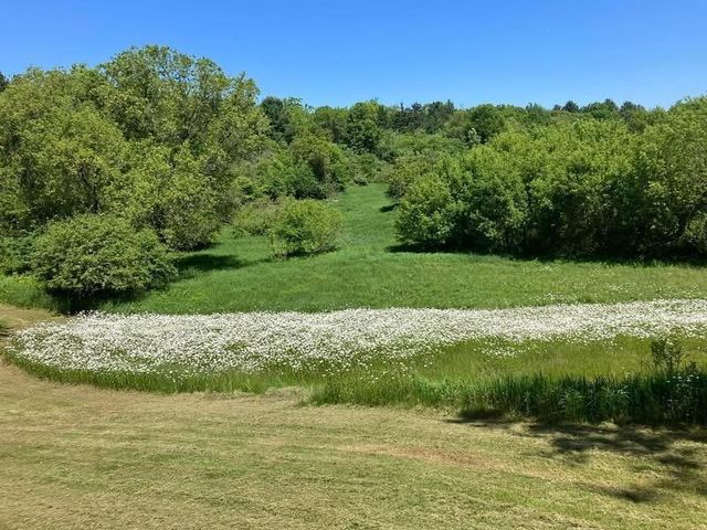 E2972 GRANITE QUARRY ROAD, Waupaca, WI 54981