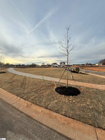 1 Golden Aster Drive, Simpsonville, SC 29681